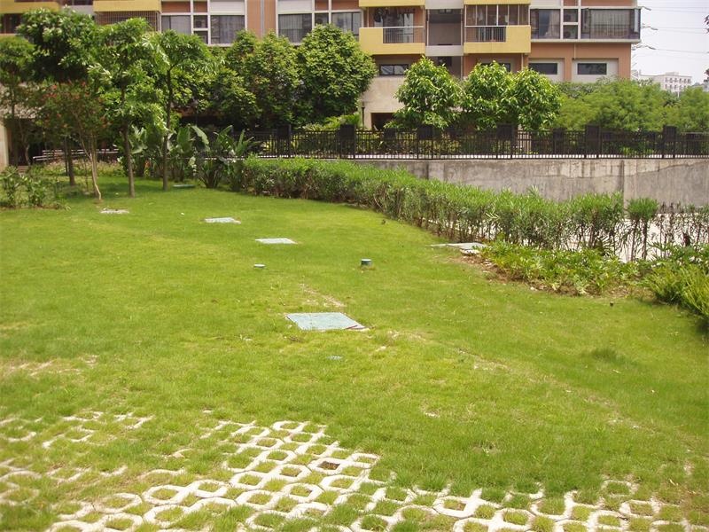 ������ˮ̎��վ250t/��