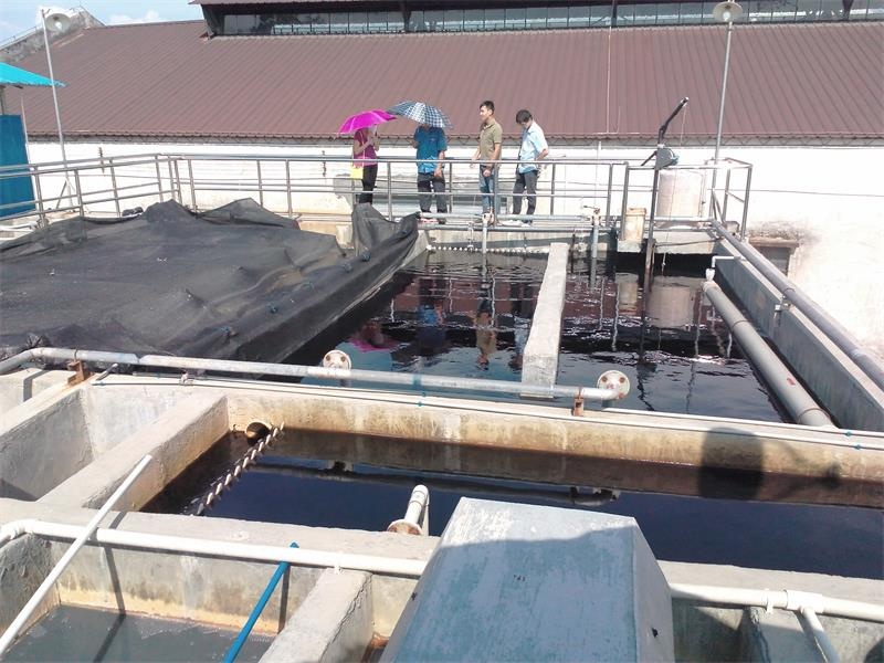 ��ˮ̎������200t/��