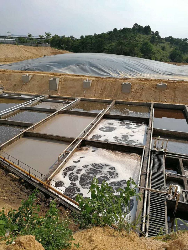 �B(y��ng)�i�Uˮ